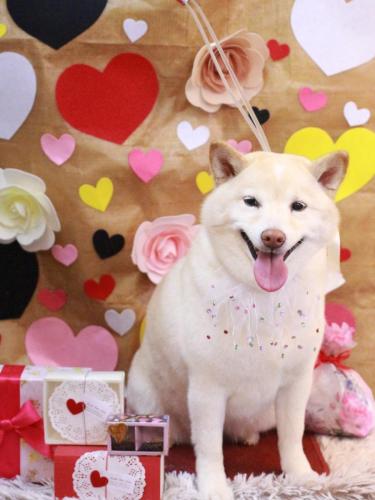 20230207メイちゃん